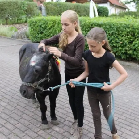 In Germany With Garden Terrace Διαμέρισμα