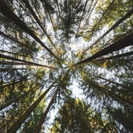 In Germany With Garden Terrace Διαμέρισμα Bredenborn