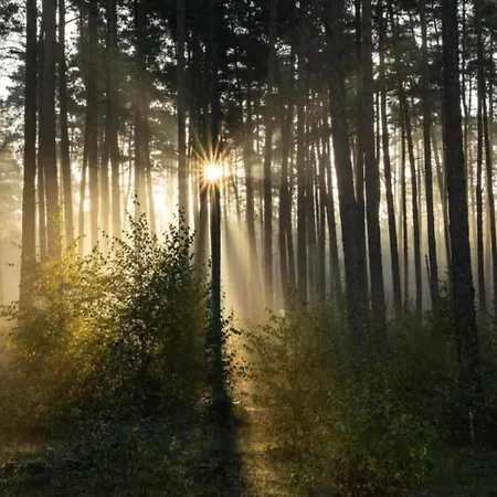 In Germany With Garden Terrace * Bredenborn