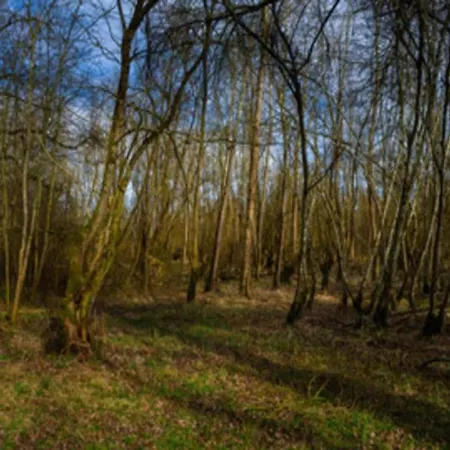 In Germany With Garden Terrace Διαμέρισμα *