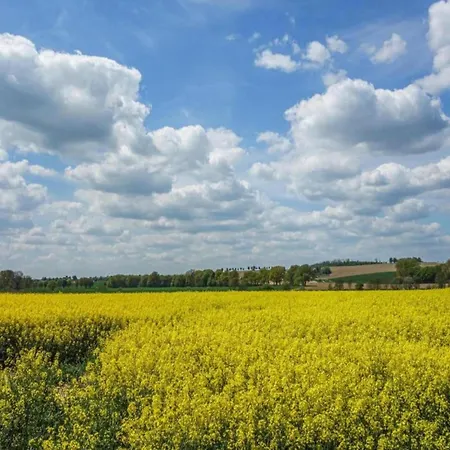 In Germany With Garden Terrace *