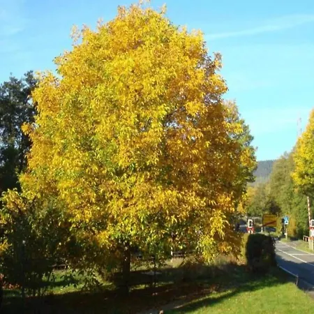 In Germany With Garden Terrace * Bredenborn