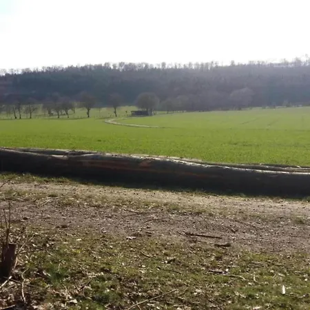 In Germany With Garden Terrace