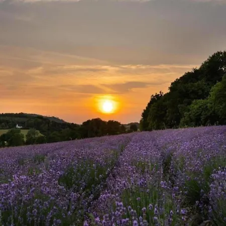 In Germany With Garden Terrace Διαμέρισμα Bredenborn