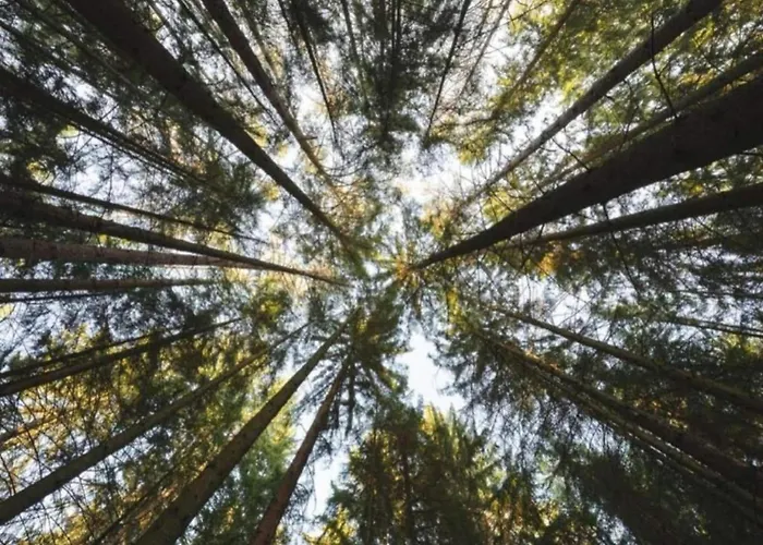 In Germany With Garden Terrace Apartamento Bredenborn