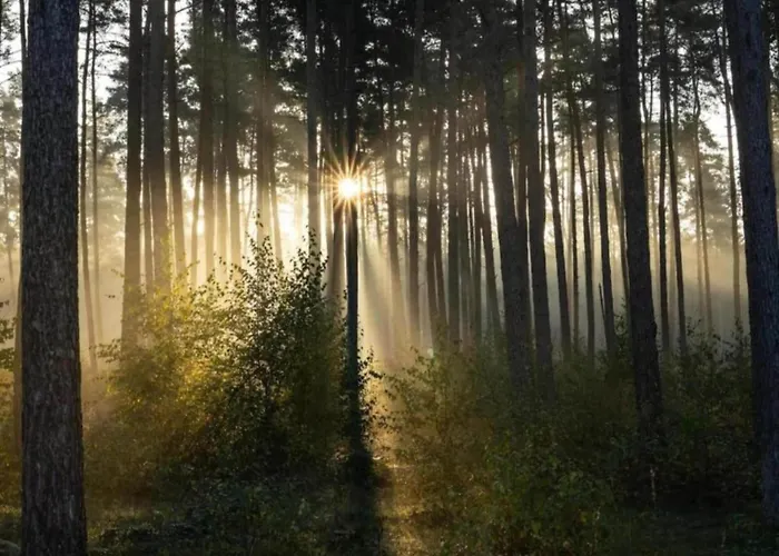 In Germany With Garden Terrace * Bredenborn