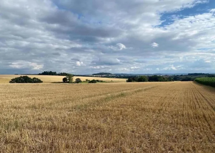 In Germany With Garden Terrace Apartamento *