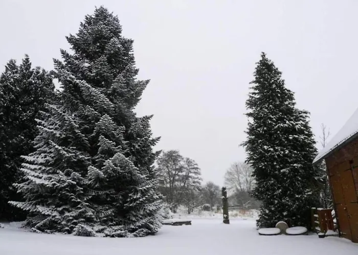 In Germany With Garden Terrace * Bredenborn