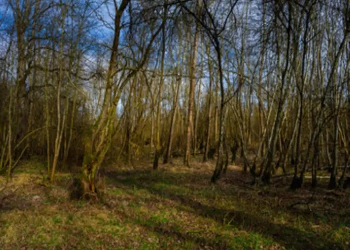 In Germany With Garden Terrace Apartamento *