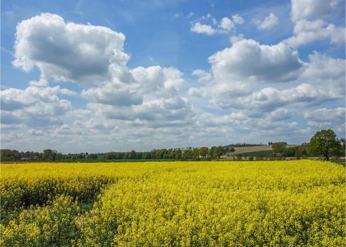 In Germany With Garden Terrace *