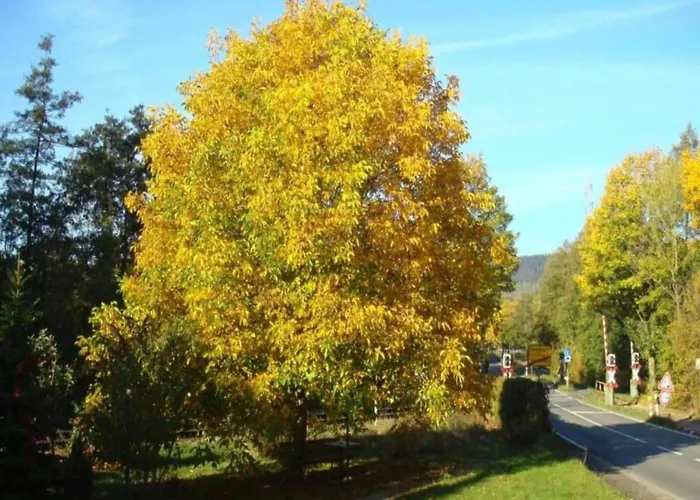 In Germany With Garden Terrace * Bredenborn