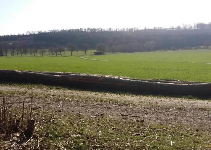 In Germany With Garden Terrace