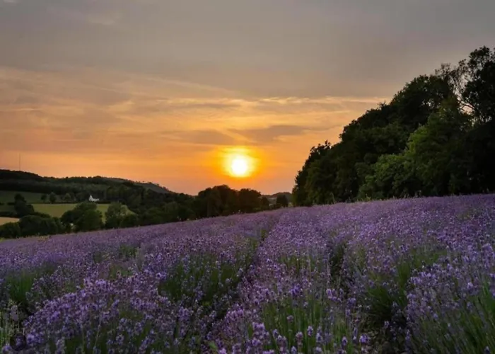 In Germany With Garden Terrace Apartamento Bredenborn